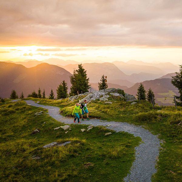 Wanderer auf einem Bergpfad bei Sonnenuntergang, umgeben von grünen Bäumen und Bergen im Hintergrund unter einem farbenfrohen Himmel.