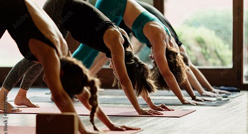 adobestock-336221200-preview