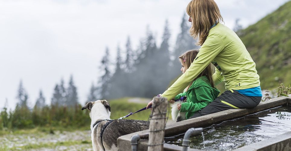 Eine Frau sitzt mit ihrem Hund auf einer Wiese in den Bergen. Im Hintergrund sind beeindruckende Berggipfel zu sehen. Die Atmosphäre ist ruhig und friedlich.