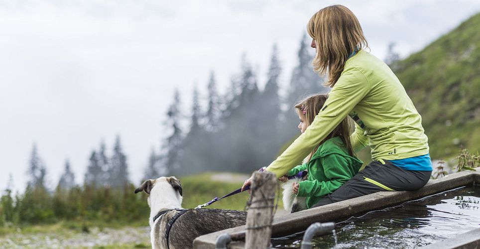 Storno und Umbuchungs Information Sommer 2026