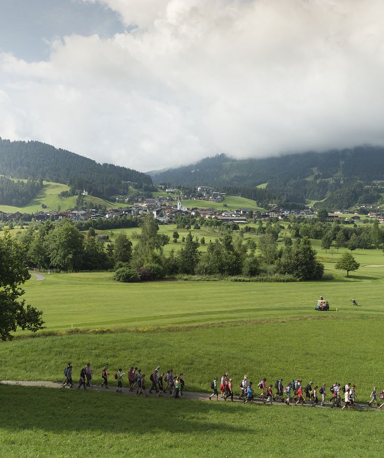 fahrradtrger camper Vertikaler Fahrradtrger  Vanstudio