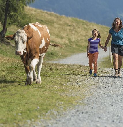 Eine Frau und zwei Kinder wandern auf einem Kiesweg in den Bergen. Eine Kuh läuft auf der Wiese daneben. Die Szene zeigt eine friedliche Landschaft.