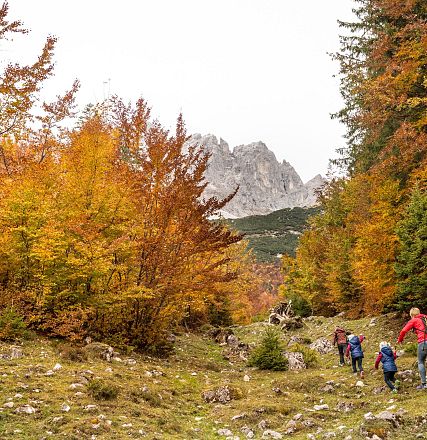 Herbstwanderung in den Bergen