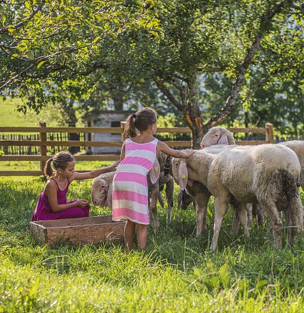 Zwei Kinder spielen auf einer Wiese mit mehreren Schafen. Die Umgebung ist ländlich, mit einem Holzzaun und Bäumen im Hintergrund unter blauem Himmel.