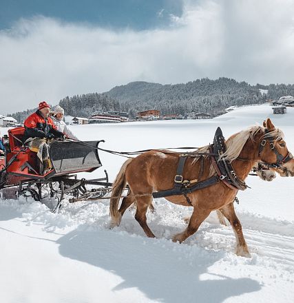 Pferdeschlittenfahrt in der Winterlandschaft