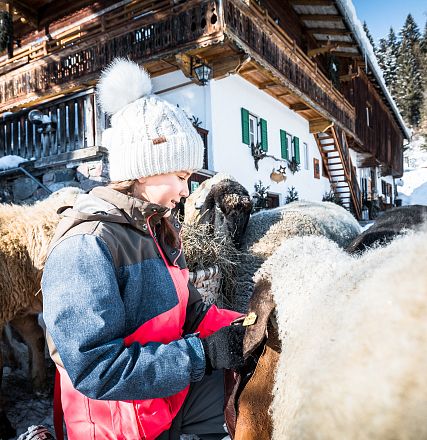 Frau in Winterkleidung füttert Schafe vor einem Chalet im Schnee; die Szene wirkt gemütlich und winterlich.
