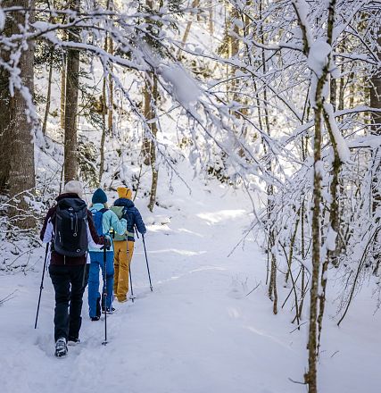 Wilder_Kasier_Waldbaden_Winterwandern_Scheffau_Winter24_SabineHolaubek (24)