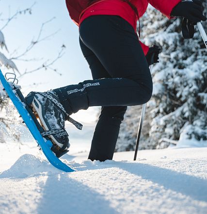Winterwanderung im Schnee
