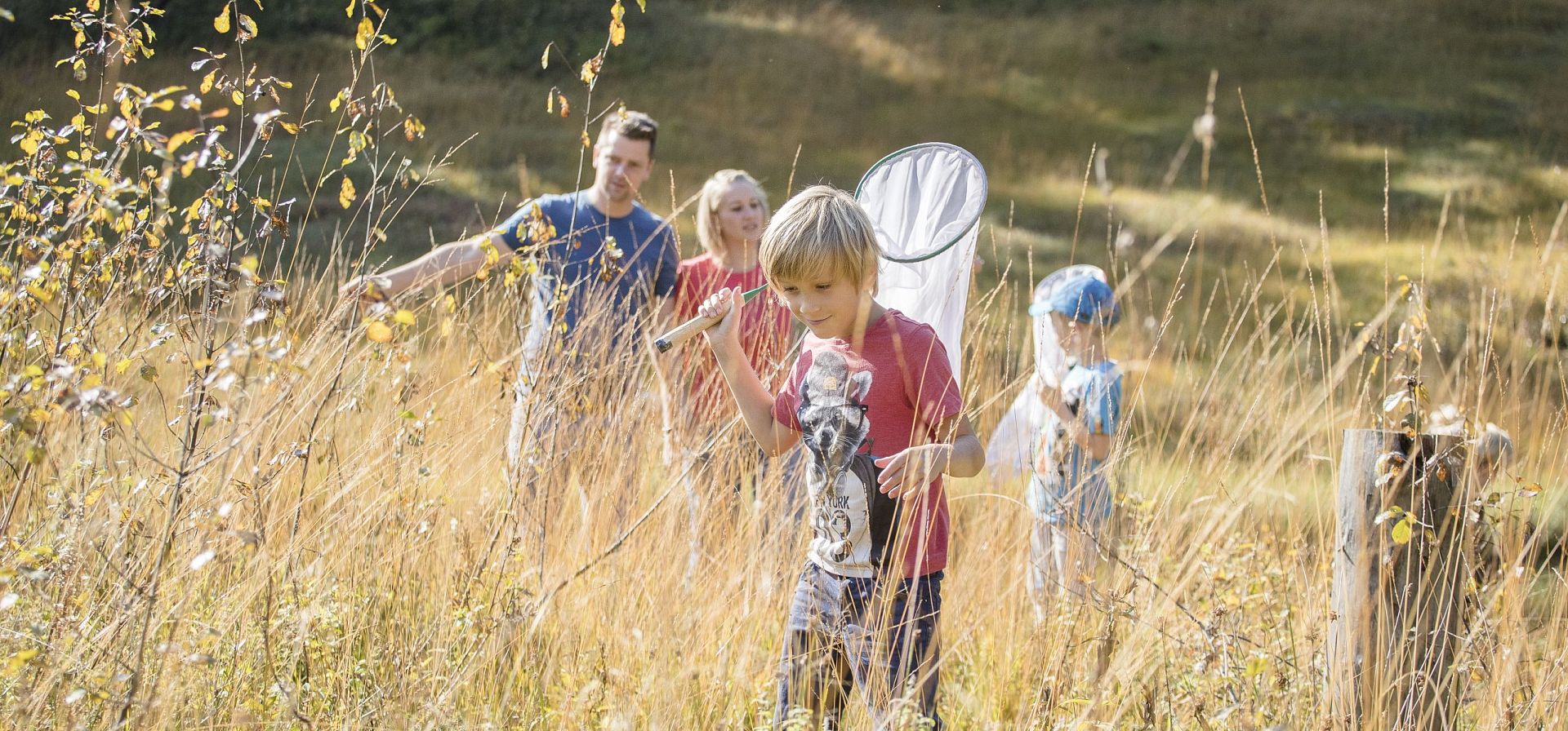 Familie mit Keschern im hohen Gras an einem sonnigen Tag, Kinder spielen und Erwachsene schauen zu.